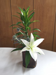 IMG_9650ãæ±ºå®